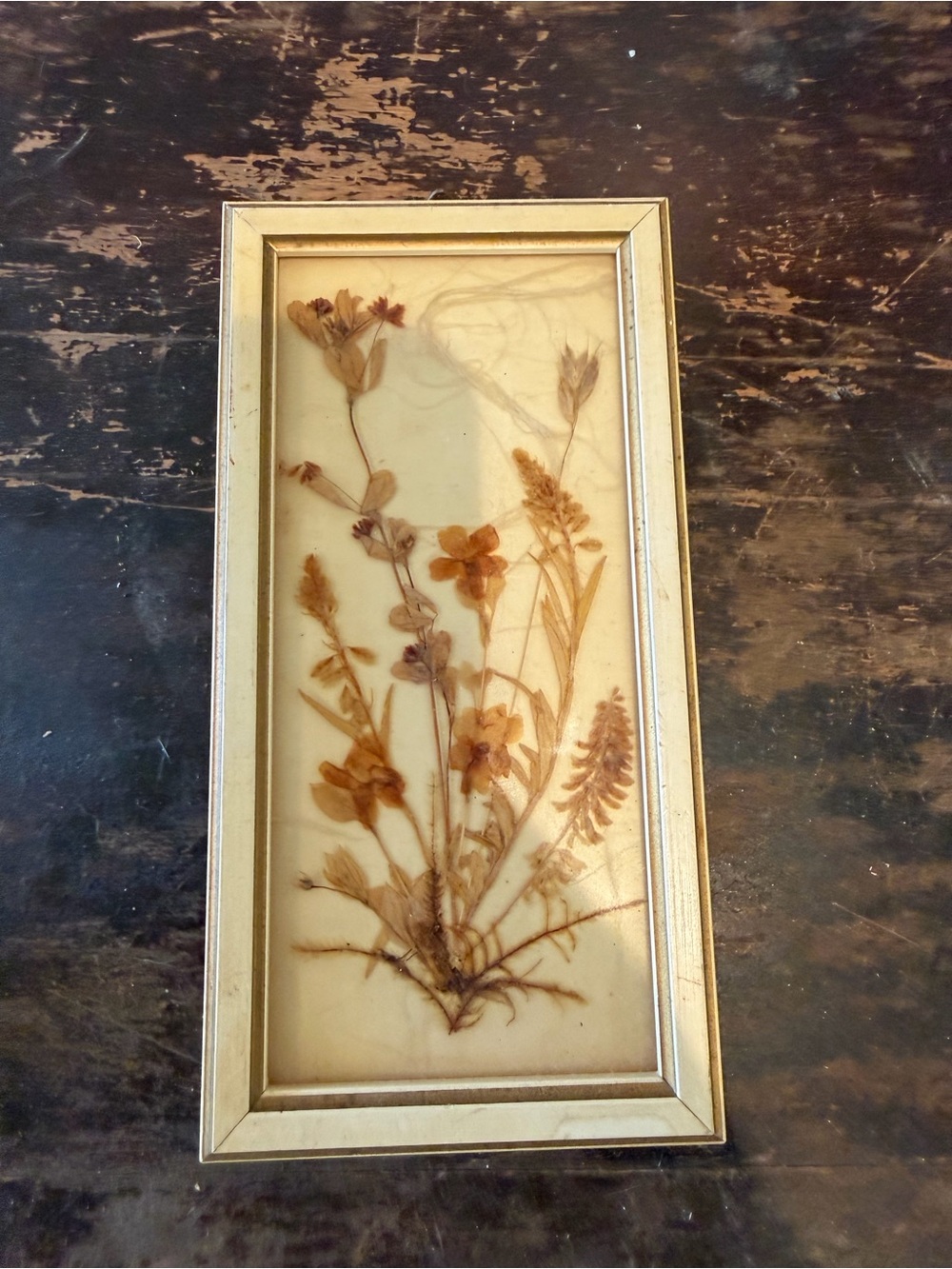 Ina Gold Framed Pressed Flower Wall Art